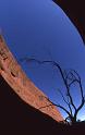 WT 095-29 Australia Olgas 1